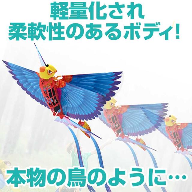 Go Go Bird ゴーゴーバード グリーン　