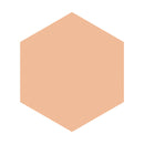 Shiseido Integrate Gracey Moist Pact EX (Refill) Ocher 10