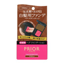 Shiseido Prior Hair Foundation Brown
