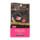 资生堂 Prior Hair Foundation 深棕色