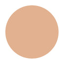 Shiseido Majolica Majorca Skin Remaker Pore Cover OC20