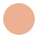 資生堂 スポッツカバー ファウンデイション（ベースカラー） H100 20g