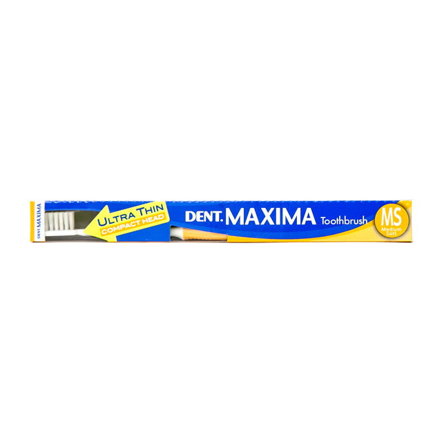 Lion DENT Maxima MS（中软）度数