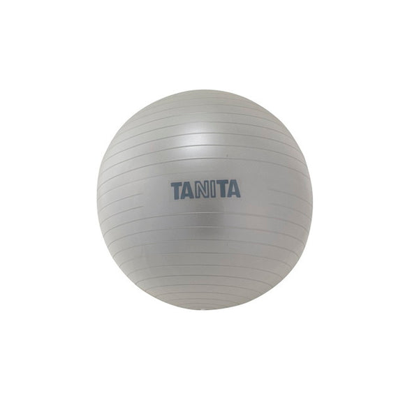 タニタ TANITA バランスボール ジムボールTS-962 65cm - エクササイズ用品