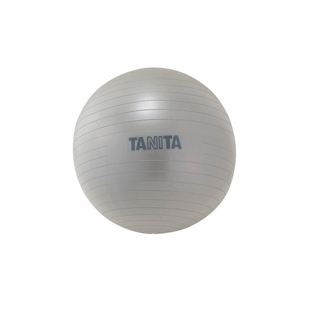 Tanita Size Gym Ball TS-962 Silver