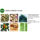 アラミック 米びつ先生 1年用35kg