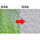 Azmagic 苔藓去除剂 400ml