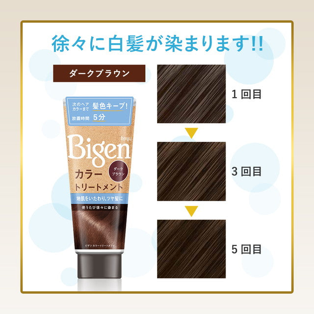 Hoyu Bigen Color Treatment Ash Brown 180g